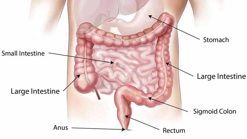 What is colon hydrotherapy treatment - www.detoxandcure.com