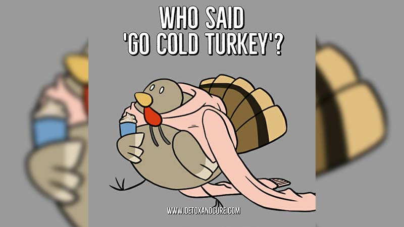 How Do I Stop Eating Meat? Plant-Based in 4 Weeks - picture of a cartoon turkey wearing a sweater with the caption "Who said Go cold turkey?"