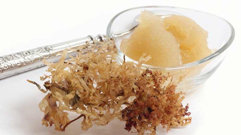 How to Make Sea Moss Gel - Detox & Cure