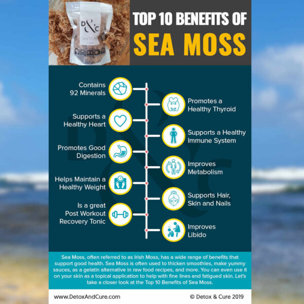 Top Ten Benefits of SeaMoss infographic with detoxandcure.com Sea Moss 125g bag. Infographic contains a schematic highlighting the top 10 benefits of sea moss as. 1 - contains 92 minerals. 2 - promotes a healthy thyroid. 3 - supports a healthy heart. 4 - supports a healthy immune system. 5 - promotes good digestion. 6 - improves metabolism. 7 - helps maintain healthy weight. 8 - supports hair, skin and nails. 9 - is a great post workout recovery tonic. 10 - improves libido. Image copyright Detox and Cure 2019.