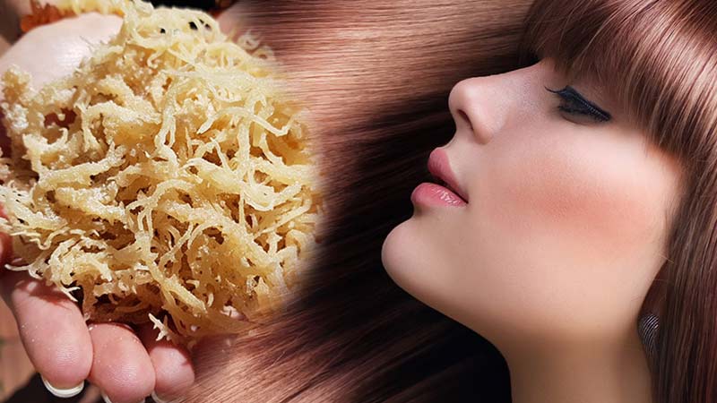 woman with healthy hair Sea-Moss-Benefits-For-Hair-and-Skin-Health-