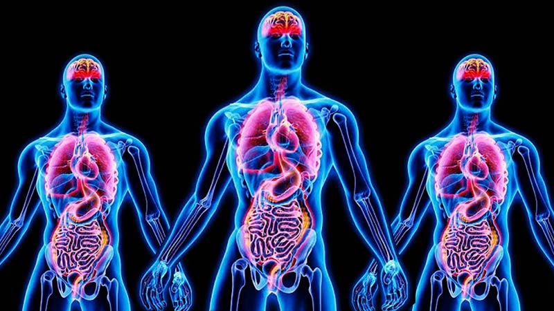 neon human bodies showing organs and muscles highlighted and glowing