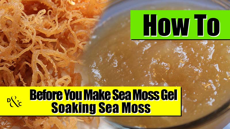 3 Simple Steps for Making the Best Sea Moss Smoothie