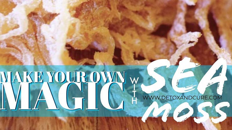 golden sea moss on a timber table top with text overlay saying 'make your own magic with sea moss'