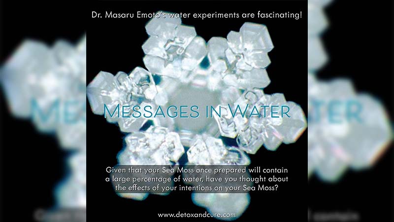 Doctor-Masaru-Emoto-water-experiment-with-love-abd-other-words-changing-the-structure-of-the-molecules-as-shown-in-ice