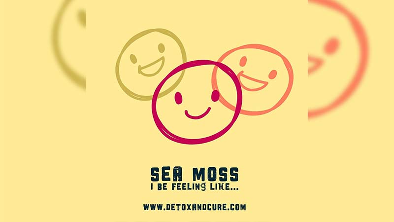 sea-moss-makes-me-feel-amazing-and-happy