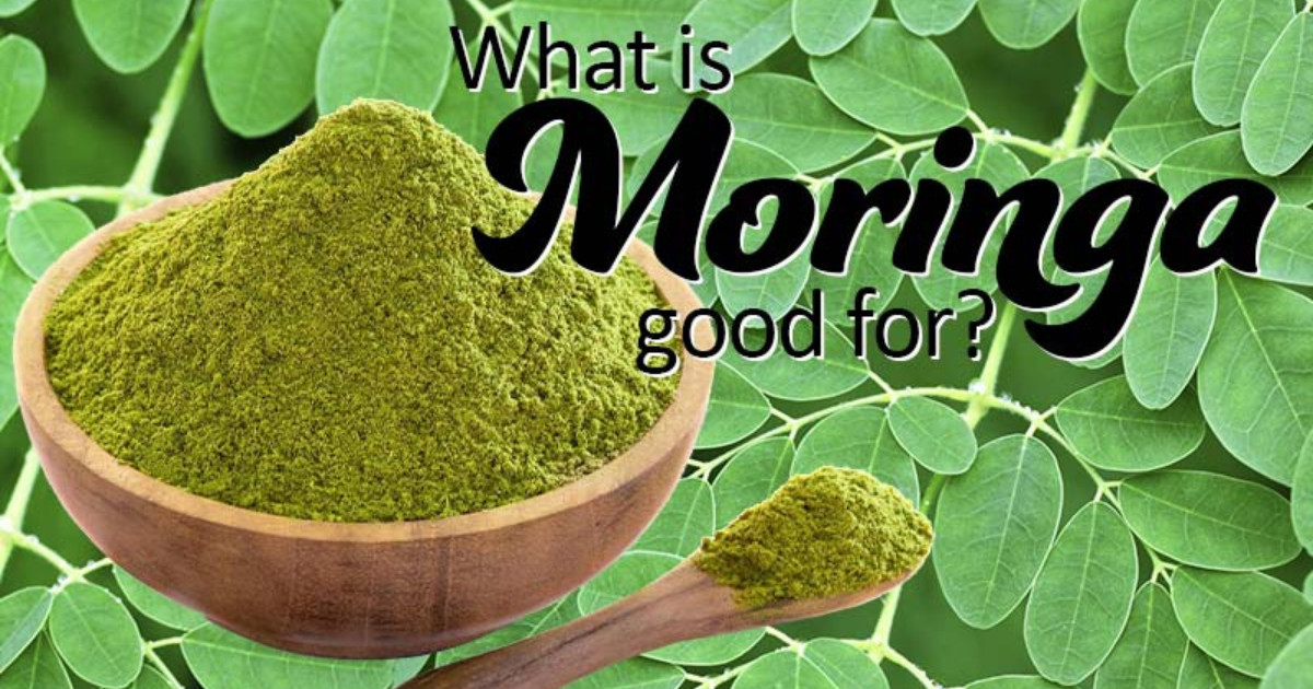 What is Moringa Good For - featured