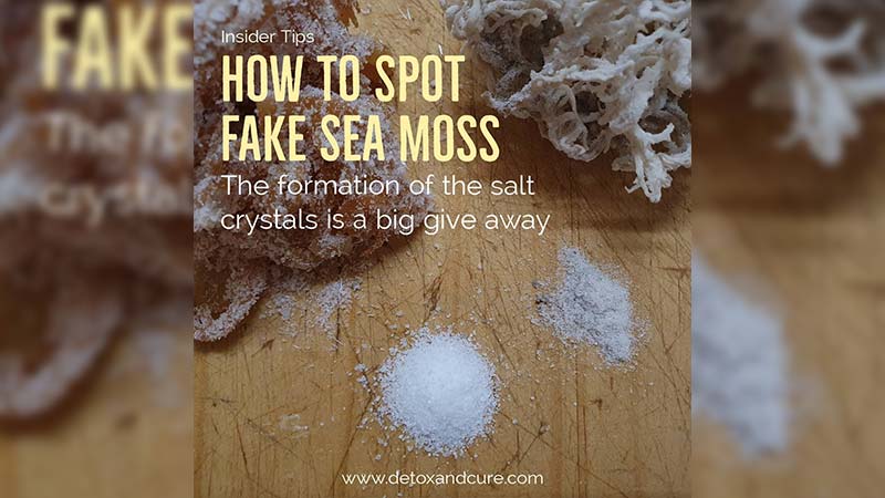 salt on sea moss and how to spot fake sea moss