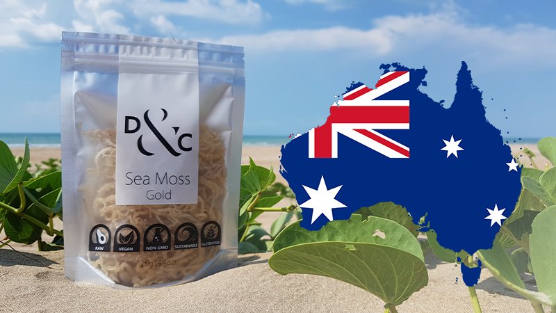 Buying-Sea-Moss-in-the-Australia-Sea-Moss-Gold. Detox & Cure Sea Moss Gold 125g bag on the golden sands of a sunny beach with a stylized map of Australia showing the Australian Flag within the borders of the country