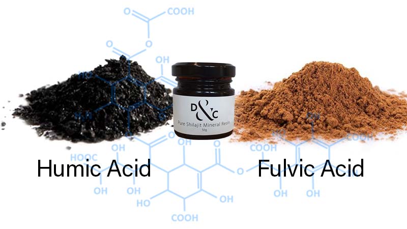 Shilajit jar 50g with a pile of fulvic acid and humic acid on a white background and the molecular structure for humic acid overlaid for illustration purposes