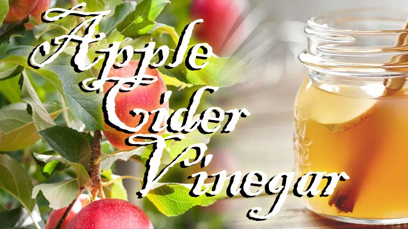 Apple Cider Vinegar drink on a timber table with a faded blend into an image of an apple tree with the text "Apple Cider Vinegar" overlaid in a stylistic font