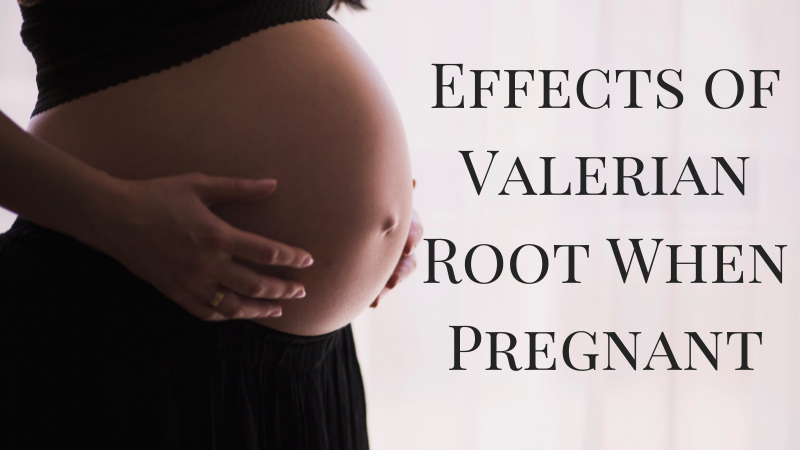 effects of valerian root when pregnant