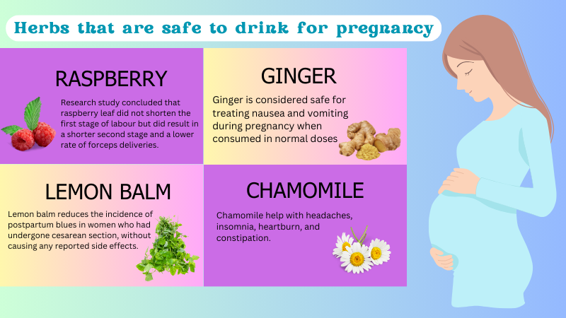 valerian root when pregnant - herbs that are safe to drink