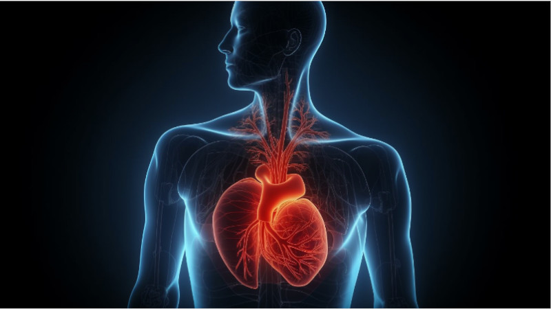 can valerian cause heart palpitations - featured
