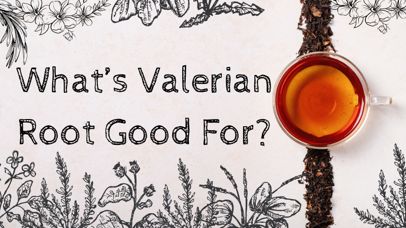 what's valerian root good for