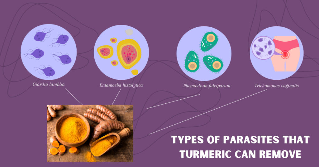 ashwagandha root vs turmeric - Types of Parasites 