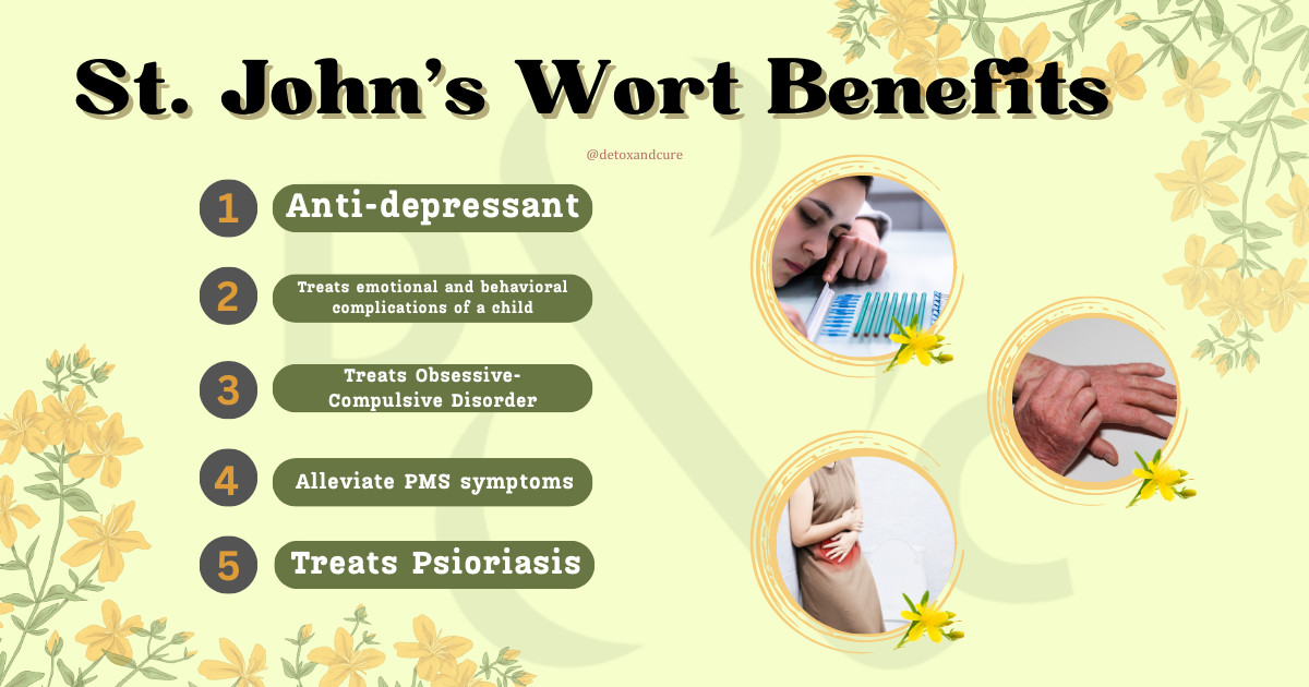 valerian root vs st johns wort - benefits
