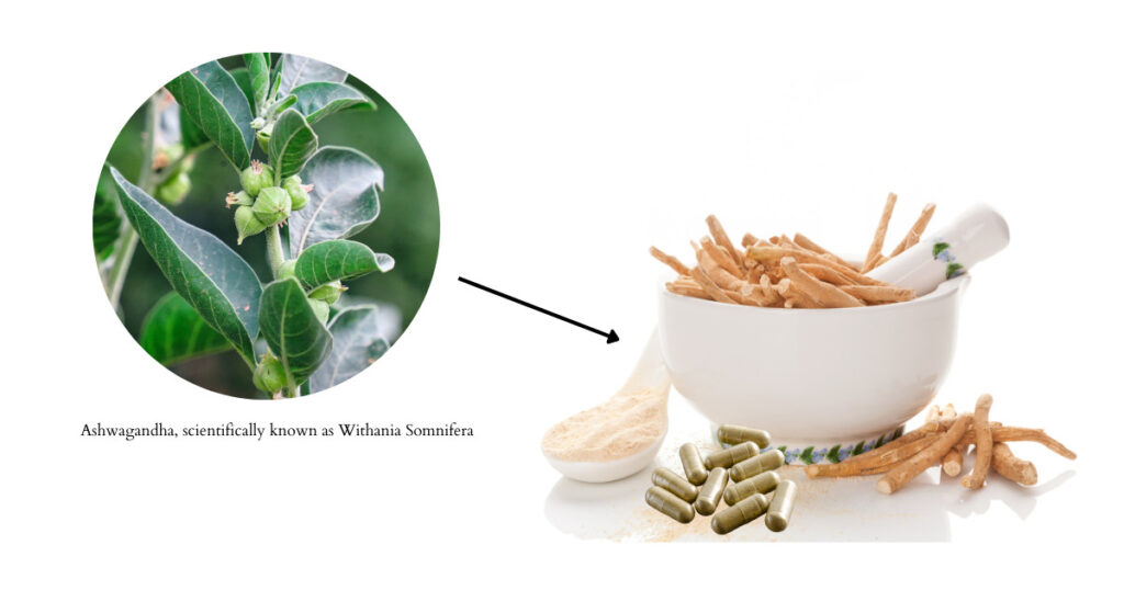best time to take triphala for weight loss - what is ashwagandha