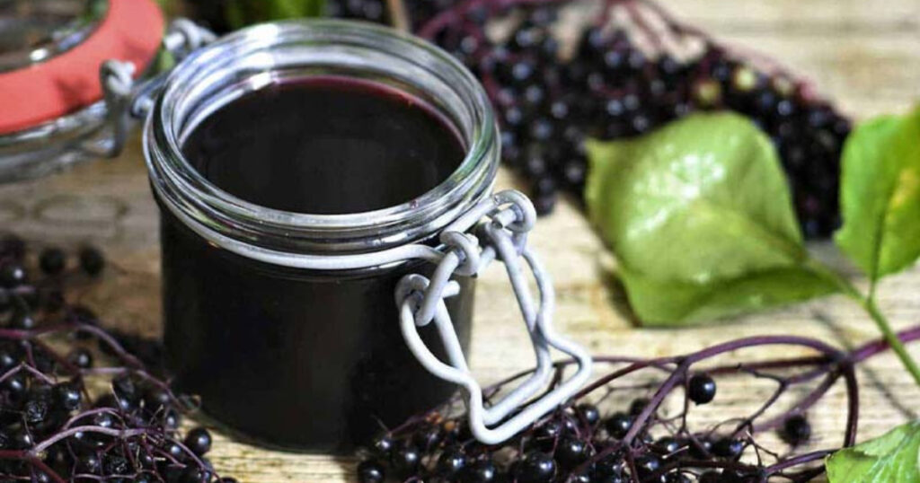Elderberry Syrup Recipe - elderberry syrup