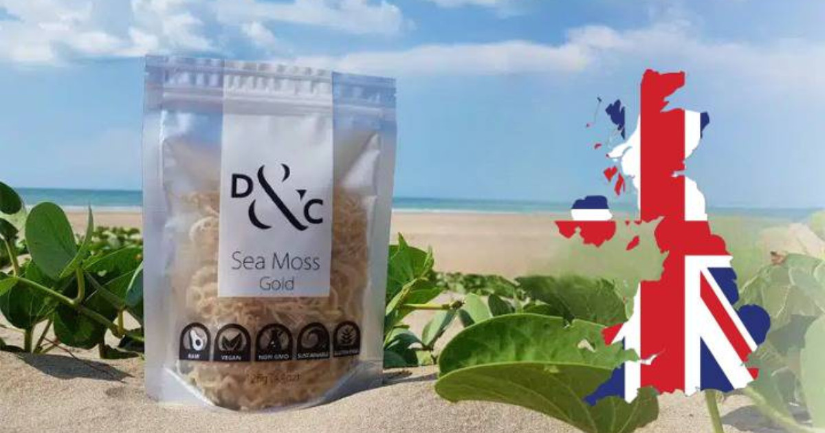 Tips Before Buying Sea Moss - canada